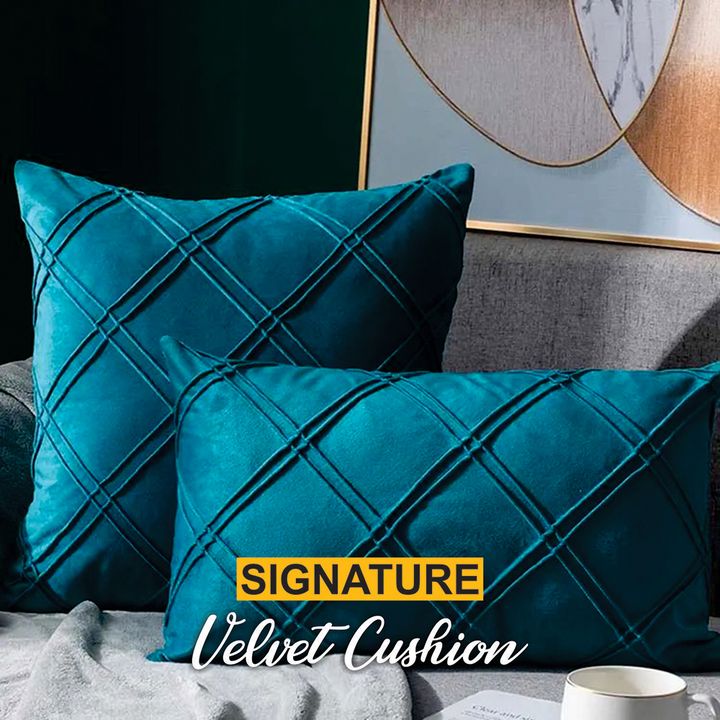 Zinc Velvet Cushion